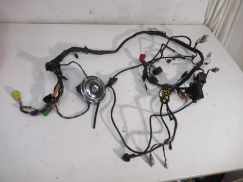 Cablaggio suzuki 800 51 - cablaggio,