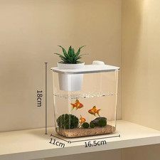 Mini Acquario Acquario