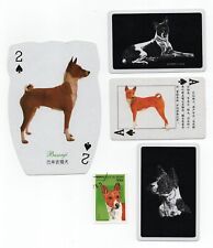 BASENJI COLLECTION OF DOG