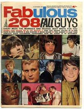 Fabulous 208 Magazine 2