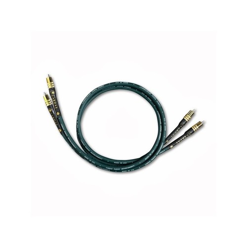 Coppia cavi interconnessione