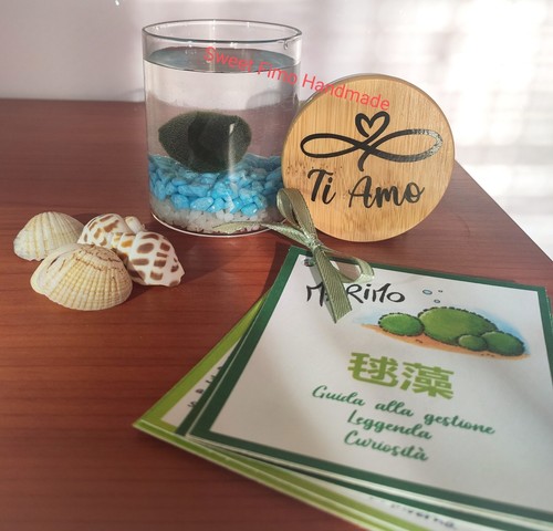 Marimo barattolo vetro - barattolo, di