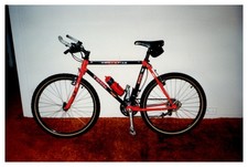 Bicicletta mountain bike