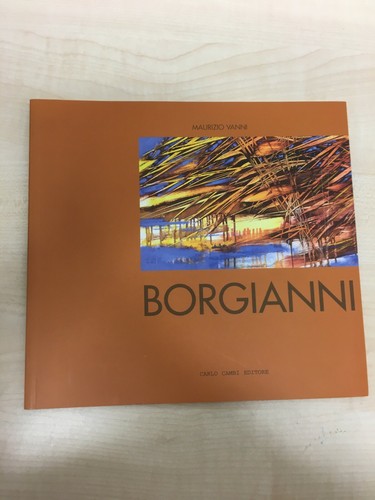 Libro borgianni visioni - libro,