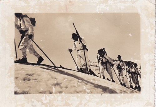Foto cartolina alpini italia - cartolina,