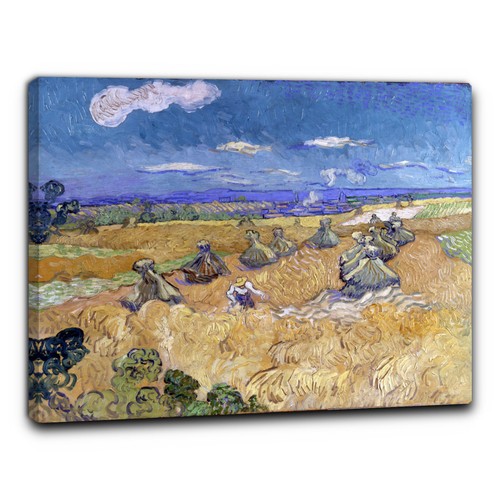 Niik quadro campo - campo, grano