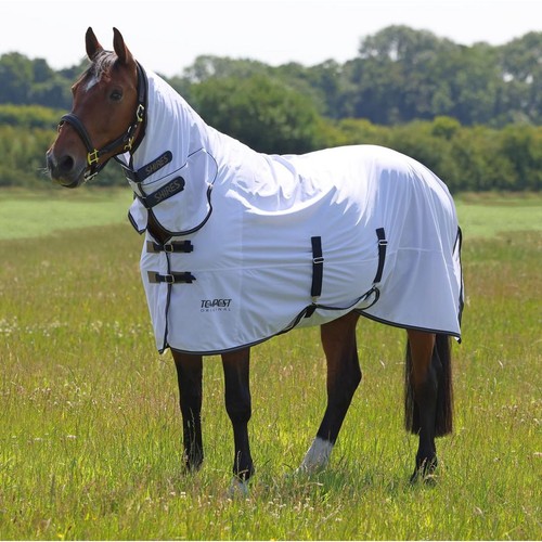 Shires tempest original fly - tempest,