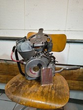 cucciolo ducati t50