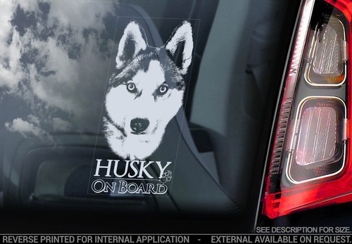 Husky car window sticker - -,