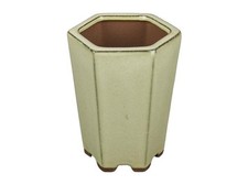 Vaso per bonsai esagonale