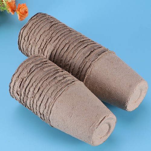 100 pcs vasetti piantine vaso - pcs,