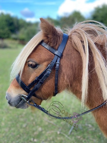 Mini shetland hunter briglia - mini-shetland,