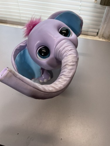 Juno baby elephant - juno, my