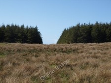 Photo 6x4 firebreak - 6x4, in