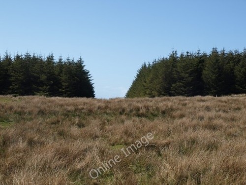 Photo 6x4 firebreak - 6x4, in