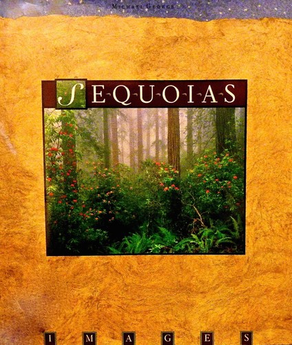 Sequoias george - sequoias,