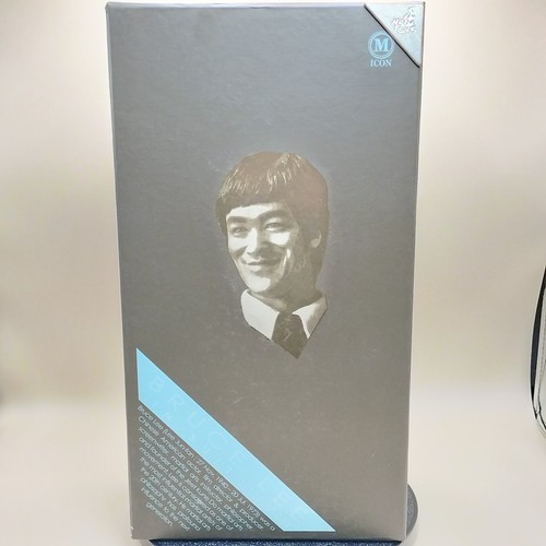 Hot toys modellino - modellino, bruce