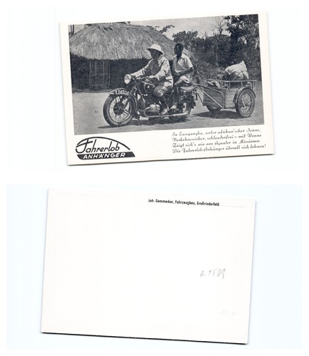 Grossbovino - (18578a1509),
