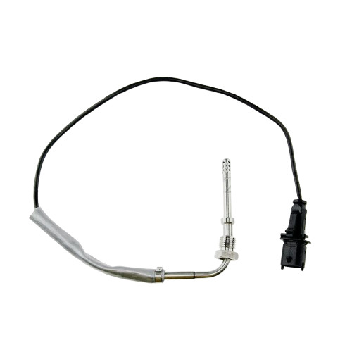 Sensore temperatura gas - sensore, di