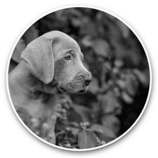 Adesivi vinile cm - adesivi, (bw)