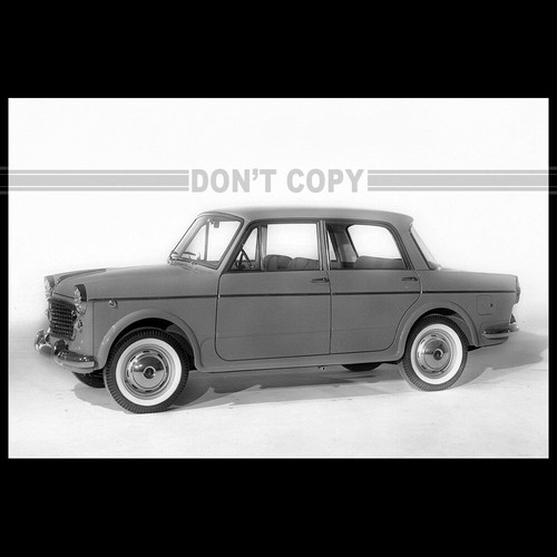 Photo 024676 fiat 1100 - a.024676,