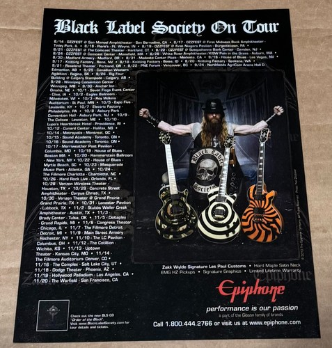 Epiphone chitarre zakk - -, wylde