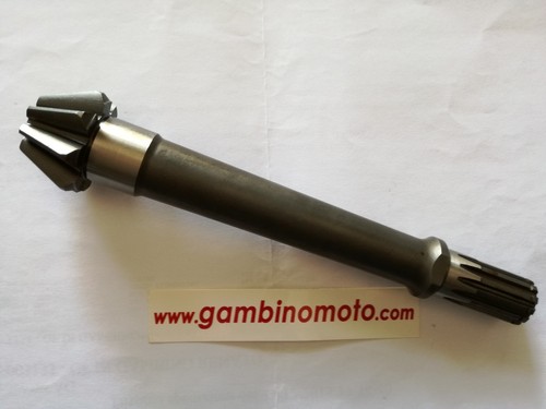 Pignone coppia conica - pignone,
