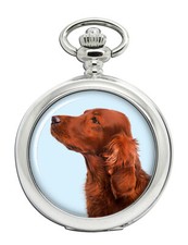 Irlandese Rosso Setter