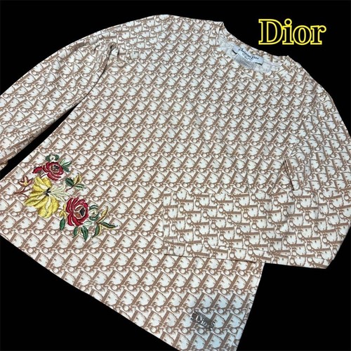 Shirt christian dior trotter - christian,