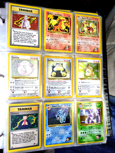 Lotto raccoglitore collezione