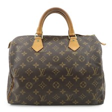 Louis Vuitton Monogram Speedy