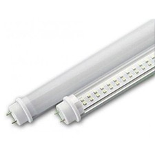 NEON Tubo Led smd Neon T8 60cm