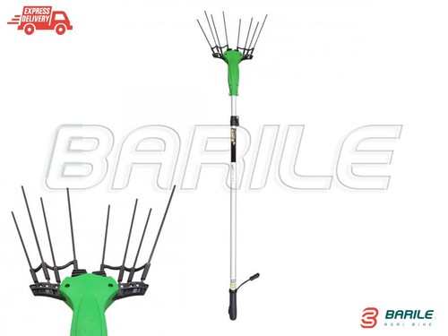 Abbacchiatore scuotitore - /,