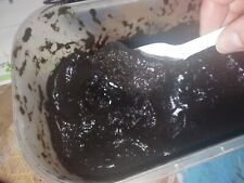 Tubifex vivi con terra