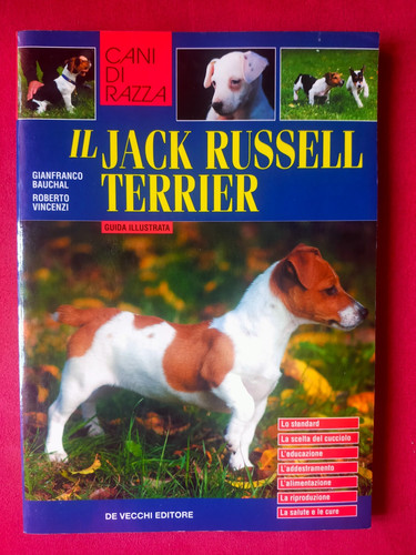 Cani razza jack russell - cani, il