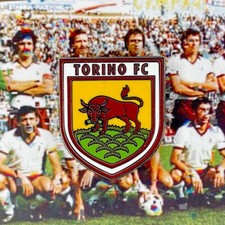 distintivo spilla bavero