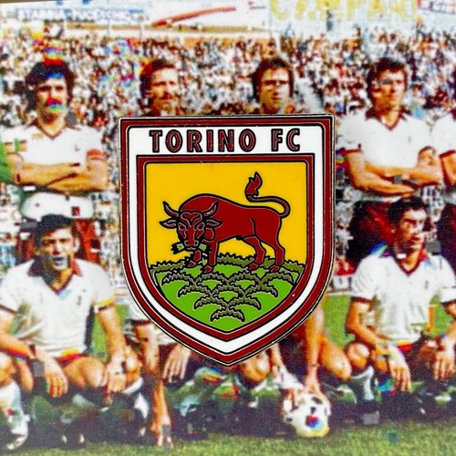 Distintivo spilla bavero - distintivo,