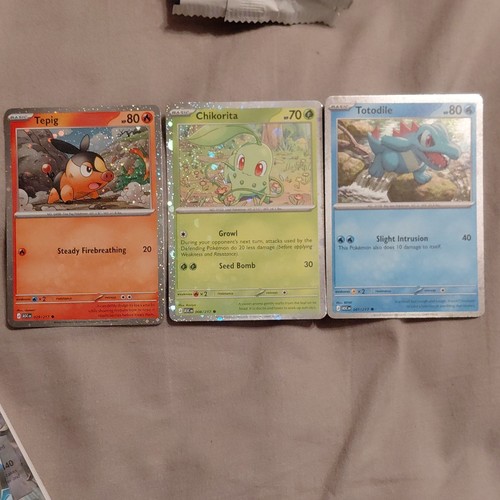 Lotto pokémon tcg holo tepig - lotto,