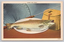 Vecchio frutteto spiaggia Maine, rete da pesca trota lago e cesto, cartolina d'epoca