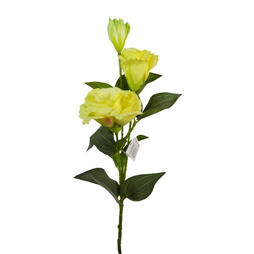 Lisianthus fiori bocciolo - fiori,