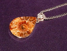 Ciondolo Ammonite, Fossile