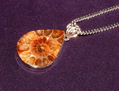 Ciondolo ammonite fossile - ammonite,,