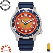 CITIZEN BN0169-03X  Promaster