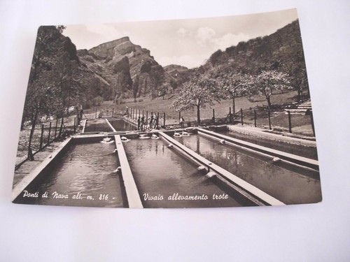 Cuneo ponte nava m 816 - -,