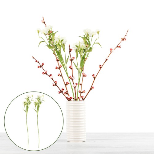 Pcs garofani fiori - , 2