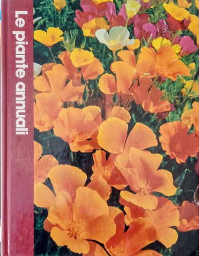 Piante annuali grande - le,