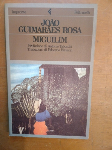 Joao guimaraes rosa - joao,