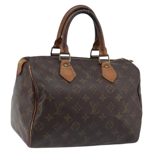 Louis vuitton monogram speedy - louis,