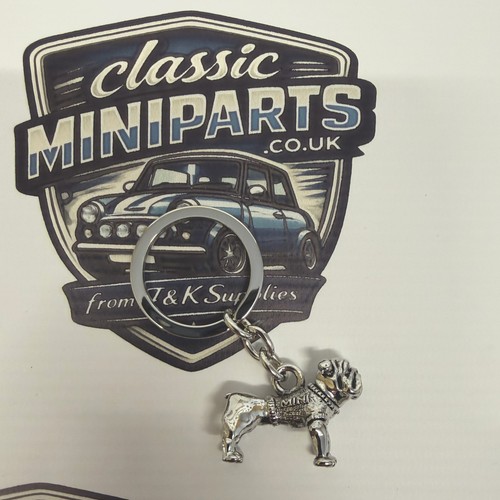 Mini key ring - key,