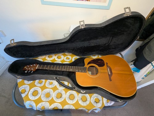 Chitarra acustica